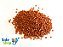 Ração Carpas Kinguios Peixes Ornamentais Ck2 500g - Poli-Nuntri - Embalado a vácuo - Envio imediato - Imagem 1