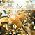 Italian Bergamot Wax Melt -Barra 50g - Imagem 3