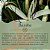 Sassenach - Book Collection Candle 100g - Imagem 9