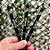 Canetas Metal Personalizadas a Laser - Imagem 1