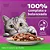 Ração Úmida Whiskas Sachê Adulto  85 gr - Imagem 7