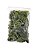 MUSGO VERDE NATURAL 100g - Imagem 2