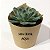 MINI SUCULENTA PERSONALIZADA - Imagem 1