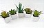 Kit 6 Mini Suculentas Vaso Cerâmica Artificiais Série Ouro - Imagem 3