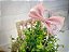Colecao Jeans Florescer Rose - Imagem 1