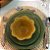 Conjunto 6 Pratos Sobremesa Daisy Verde Salvia - Porto Brasil - Imagem 3