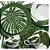 Conjunto Pratos Sobremesa Leaves - Scalla - Imagem 2
