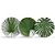 Conjunto Pratos Sobremesa Leaves - Scalla - Imagem 1