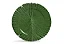 Conjunto 6 Pratos Rasos Retos Leaves - Imagem 1