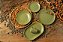 Conjunto 6 Pratos Rasos Coup Organic Olive - Alleanza - Imagem 3