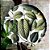 Conjunto 6 Pratos Rasos Bio Eden - Porto Brasil - Imagem 8