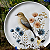 Conjunto 6 Pratos Rasos Bio Bella Latte  Ø27,5cm - Porto Brasil - Imagem 7