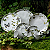 Conjunto 6 Pratos Raso Floral Helvetia  Ø29cm - Alleanza - Imagem 6