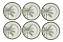 Conjunto 6 Pratos Sobremesa Caraiva  21cm - Alleanza - Imagem 6
