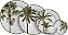 Conjunto 6 Pratos Sobremesa Malibu - Alleanza - Imagem 2