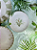 Conjunto 6 Pratos Rasos Coup Nature By Aurora - Alleanza - Imagem 2
