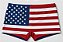 SUNGA COM A BANDEIRA DOS ESTADOS UNIDOS - Imagem 2