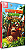 Donkey Kong Country: Returns HD - Semi Novo - Imagem 1