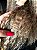 ULTIMA PEÇA - Peruca lace front wig frisada loira com raiz escura - ZARA -  PRONTA ENTREGA - Imagem 7
