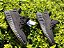 adidas Yeezy Boost 350 V2 Cinder Reflective - Imagem 3