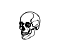 Decorativo Skull - Imagem 4