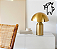 Decorativo Cãopirinha - Imagem 1