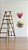Decorativo Solar - Imagem 2