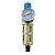 Filtro Regulador Fluir LE - 1/4 com Proteção (709121) - Imagem 2
