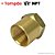 Plug Tampão Roscado Fêmea - 1/2 NPT - (000922 - 722304) - Imagem 1