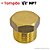 Plug Tampão Roscado Macho - 1/2 NPT - (000904 - 722404) - Imagem 1