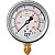 Manometro Vertical - em Inox - Rosca 1/4 - 240psi ou 16bar - 63mm - com Glicerina (729582) - Imagem 1