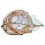 Serpentina Schulz MSWV 60 Fort / MSW 60 Max / Wayne W900 - Original (30022001/AT) - Imagem 6