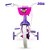 Bicicleta Infantil Aro 12 - Violet - Nathor - Imagem 4