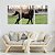 Quadro Decorativo Cavalo Marrom 115x57cm Sala Quarto - Imagem 1