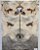 TAMPO BUCKEYE BURL GUITARRA/BAIXO (DROP-TOP E CARVED-TOP) - Imagem 1