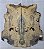 TAMPO BUCKEYE BURL GUITARRA/BAIXO (DROP-TOP E CARVED-TOP) - Imagem 8