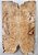TAMPO MAPLE BURL GUITARRA/BAIXO - Imagem 10