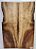 TAMPO MYRTLEWOOD GUITARRA/BAIXO (DROP-TOP) - Imagem 5