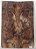 TAMPO CLARO WALNUT BURL GUITARRA/BAIXO (DROP-TOP) - Imagem 1