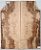 TAMPO MAPLE GUITARRA/BAIXO (DROP-TOP) 5A - Imagem 12