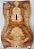 TAMPO MAPLE GUITARRA/BAIXO (DROP-TOP) 4A - Imagem 15