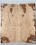 TAMPO MAPLE GUITARRA/BAIXO (DROP-TOP) 4A - Imagem 13