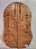 TAMPO MAPLE GUITARRA/BAIXO (DROP-TOP) 2A - Imagem 2