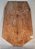 TAMPO MAPLE GUITARRA/BAIXO (DROP-TOP) 1A - Imagem 18