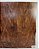 TAMPO IMBUIA GUITARRA/BAIXO (DROP-TOP E CARVED-TOP) - Imagem 5