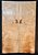 TAMPO TAMO ASH GUITARRA/BAIXO (DROP-TOP E CARVED-TOP) - Imagem 1