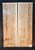 TAMPO TAMO ASH GUITARRA/BAIXO (DROP-TOP E CARVED-TOP) - Imagem 14