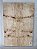 TAMPO POPLAR BURL PARA GUITARRA/BAIXO (DROP-TOP e CARVED-TOP) - Imagem 1