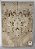 TAMPO POPLAR BURL PARA GUITARRA/BAIXO (DROP-TOP e CARVED-TOP) - Imagem 4