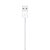 Cabo de Lightning para USB (1 m) - Imagem 4